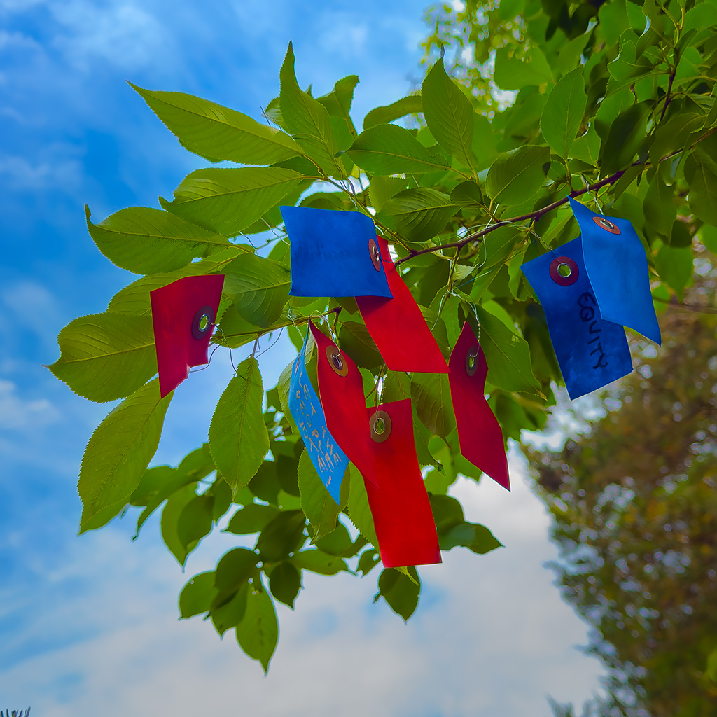 Wishes for America's next 250 years, fastened to a local tree in the spring of 2026.