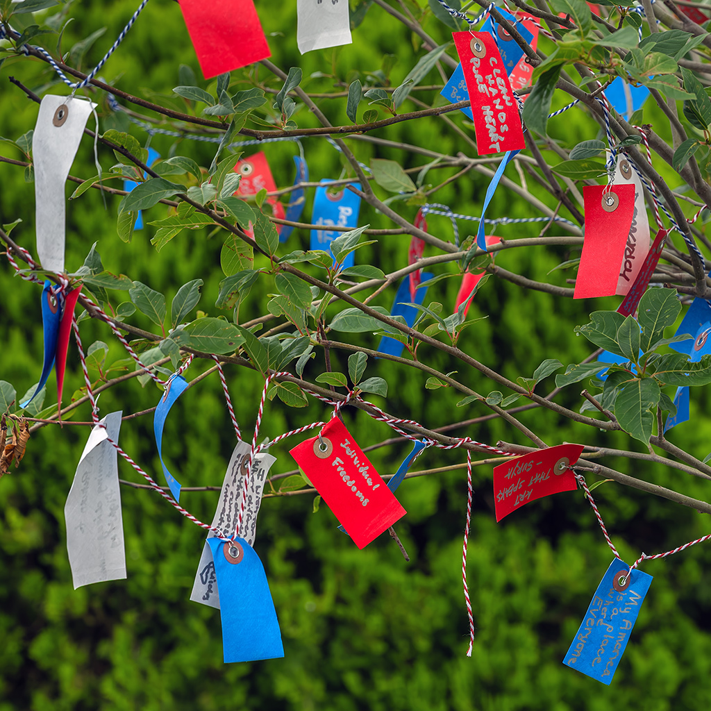 Tags on the Mason District Arts Council Wishing Tree as part of the Mason Arts 250 activities.